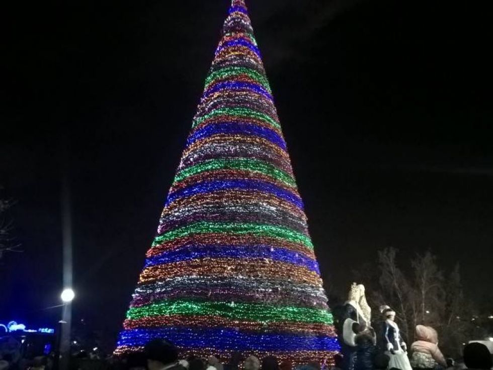 Ели в астане. Павлодар елка Новогодняя. Елка в Казахстане. Елка в городе Павлодар Казахстан. Очень большая елка на площади.
