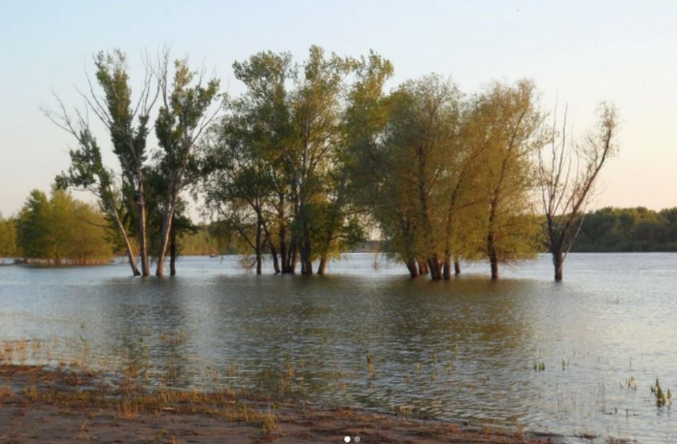 Порно фильмдердегі супер сиськи Бейнежазба ер адамды оның көзінше мастурбация жасау арқылы мазақ етеді.