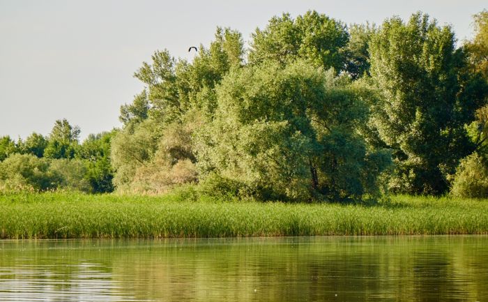 В скольких метрах от воды нельзя строить