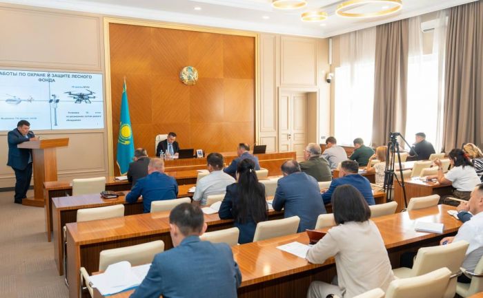 Площадь лесных пожаров в ВКО сократилась в два раза