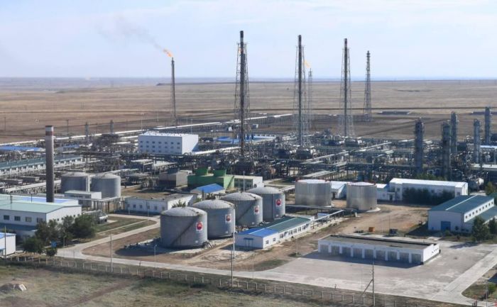 В Актюбинской области построят высокотехнологичный тепличный комплекс стоимостью 35 млн евро