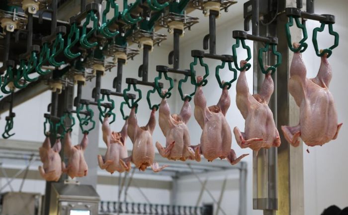 Казахстан существенно нарастил обеспеченность мясом птицы
