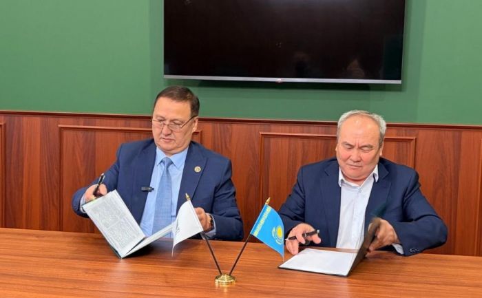 Бараны из Австралии и 2 млрд тенге по программе «Береке» - кому выдали первый кредит