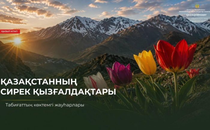 Несколько недель казахстанской весны – когда степь расцветает тюльпанами