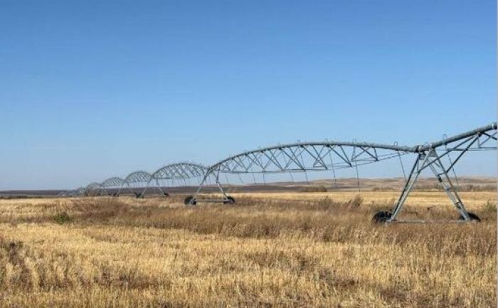 Хищения субсидий на 1 млрд тенге: прокуроры Туркестанской области вскрыли схему