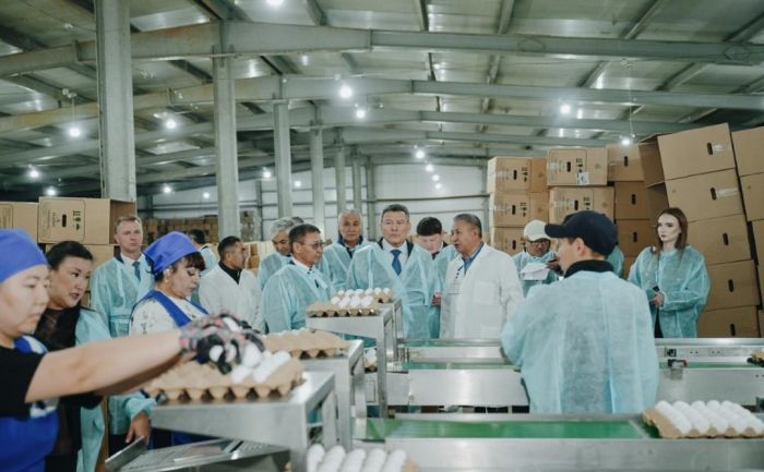 1,3 млрд на артемию, 700 млн на птицефабрику: аким СКО проинспектировал стройки