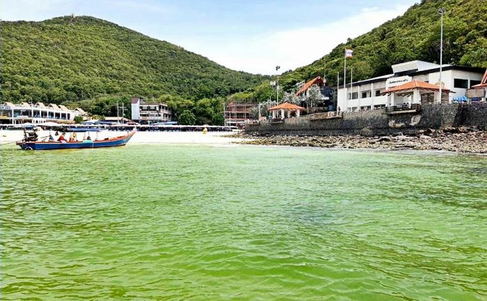 Море у тайского острова Ко-Лан стало ярко-зелёным из-за цветения планктона