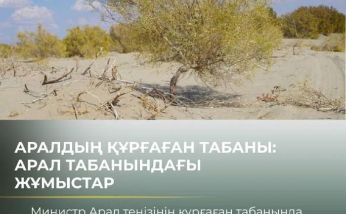 450 тысяч сеянцев саксаула: министр поручил усилить контроль за приживаемостью насаждений на дне Арала