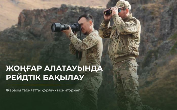 Фотоловушка в Жонгарском Алатау сняла белку во время наблюдений за дикой природой