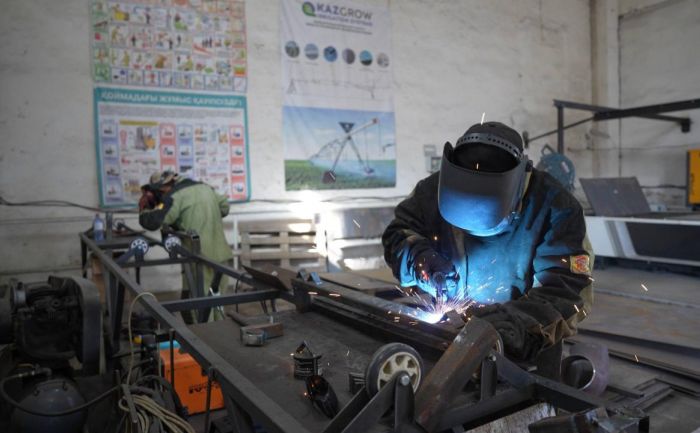 С четырех до семи выросло количество отечественных заводов