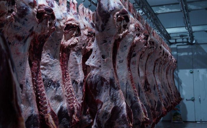 Мясо, молоко, яйца: в Казахстане фиксируется устойчивый рост производства