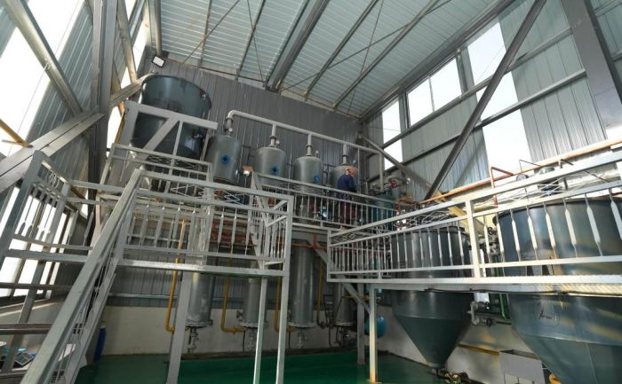 Завод по переработке костей скота на 5 тыс. тонн продукции в год запустили в Туркестанской области