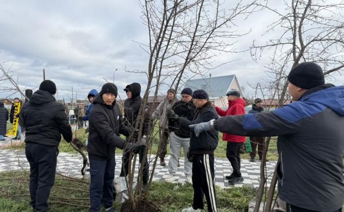 ЭКО-БАРАБАН, командная игра и 100 деревьев: в Петропавловске открыли Аллею волонтеров-2026