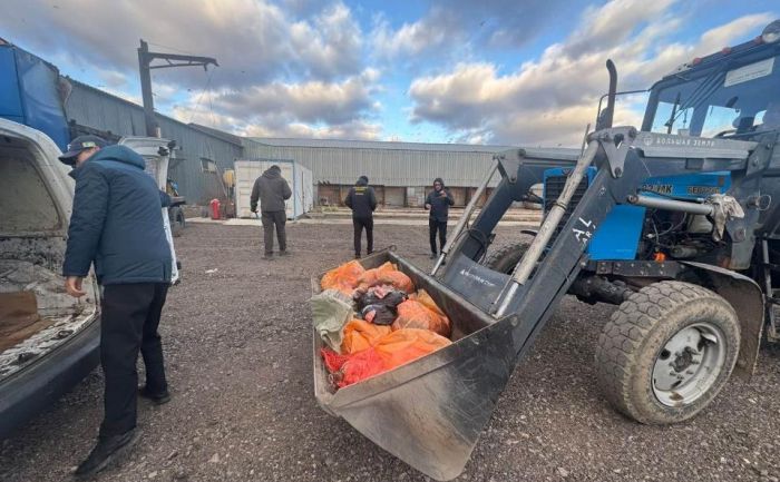 В Астане уничтожили 360 кг продукции из нелегального мясного цеха