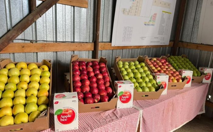 Алматинская область развивает переработку сельхозпродукции и укрепляет экспортный потенциал