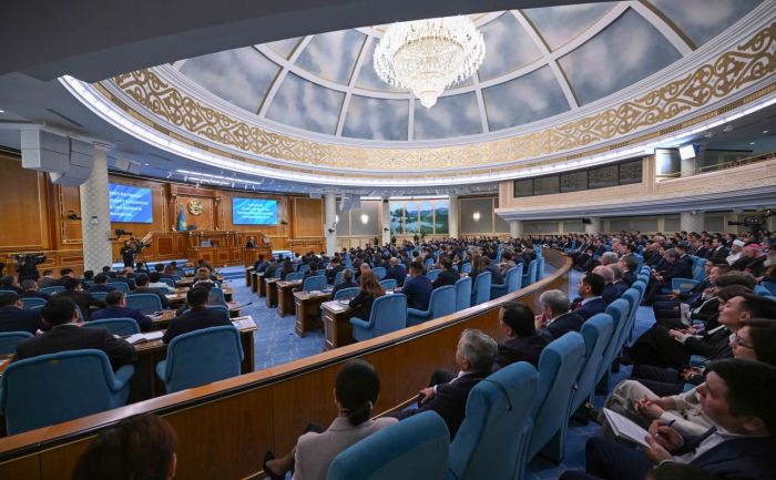 К. Токаев: Правительство до конца года сформирует упрощенный правовой режим цифровой занятости