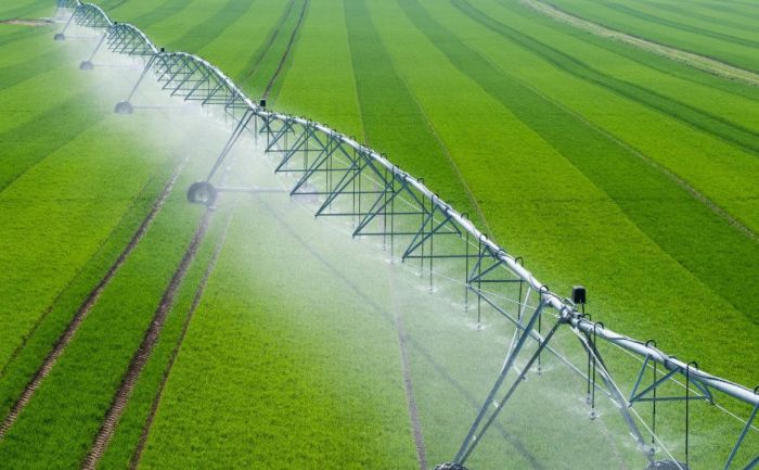 В 4 раза больше средств: бюджет-2026–2028 усилит поддержку водосберегающих технологий