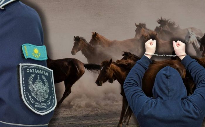 Серия краж скота раскрыта в ЗКО: ущерб составил около 5,5 млн тенге