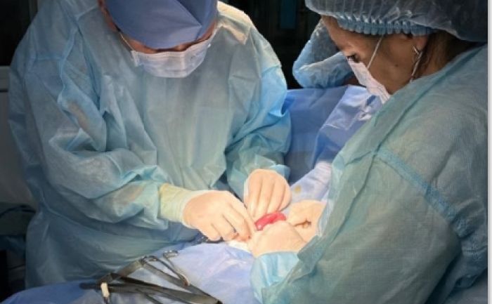 В Алматы 15 детей с начала года поступили в больницу после проглатывания магнитов