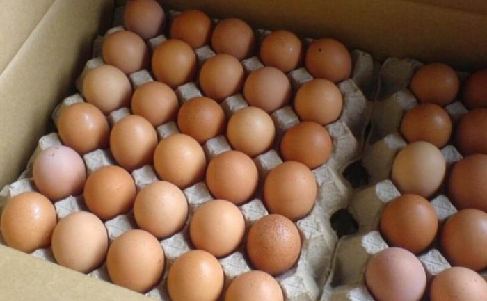 На границе с Россией не пропустили 252 тысячи куриных яиц без ветдокументов