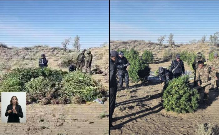 Спецоперация в Жамбылской области вскрыла масштабную наркосхему