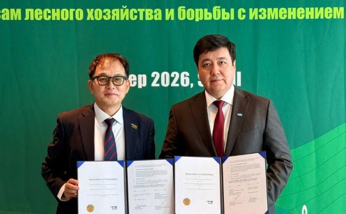 Казахстан планирует реализовать лесные проекты на площади более 100 тыс. гектаров