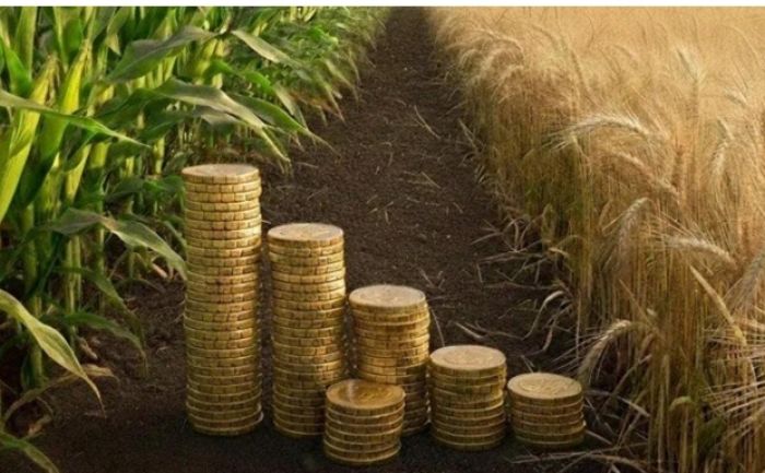 Долг снижен до 52,4 млрд: Продкорпорация закрыла обязательства на 62,7 млрд
