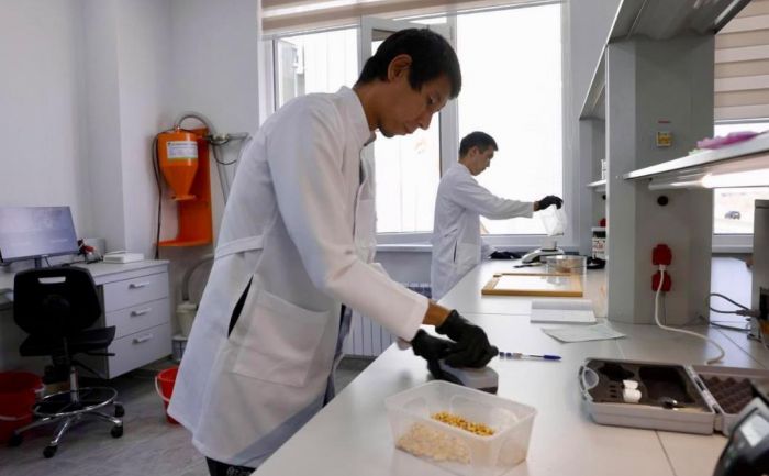 Агрокомплекс на 30 тыс. тонн продукции запустили в Алматинской области