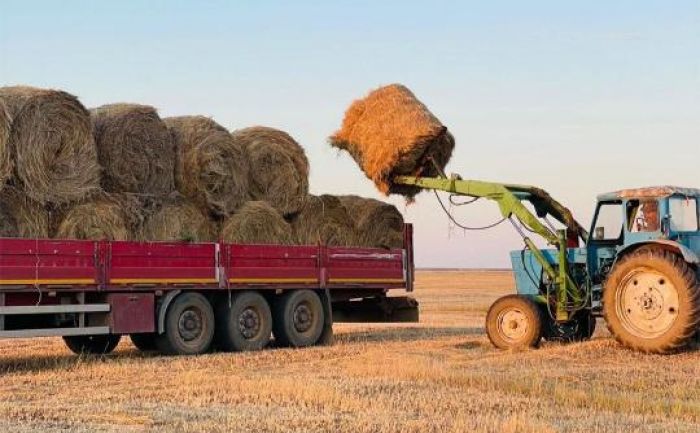 В Казахстане заготовлено более 40 млн тонн кормов