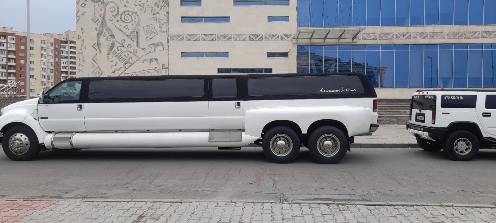 Лимузин собака